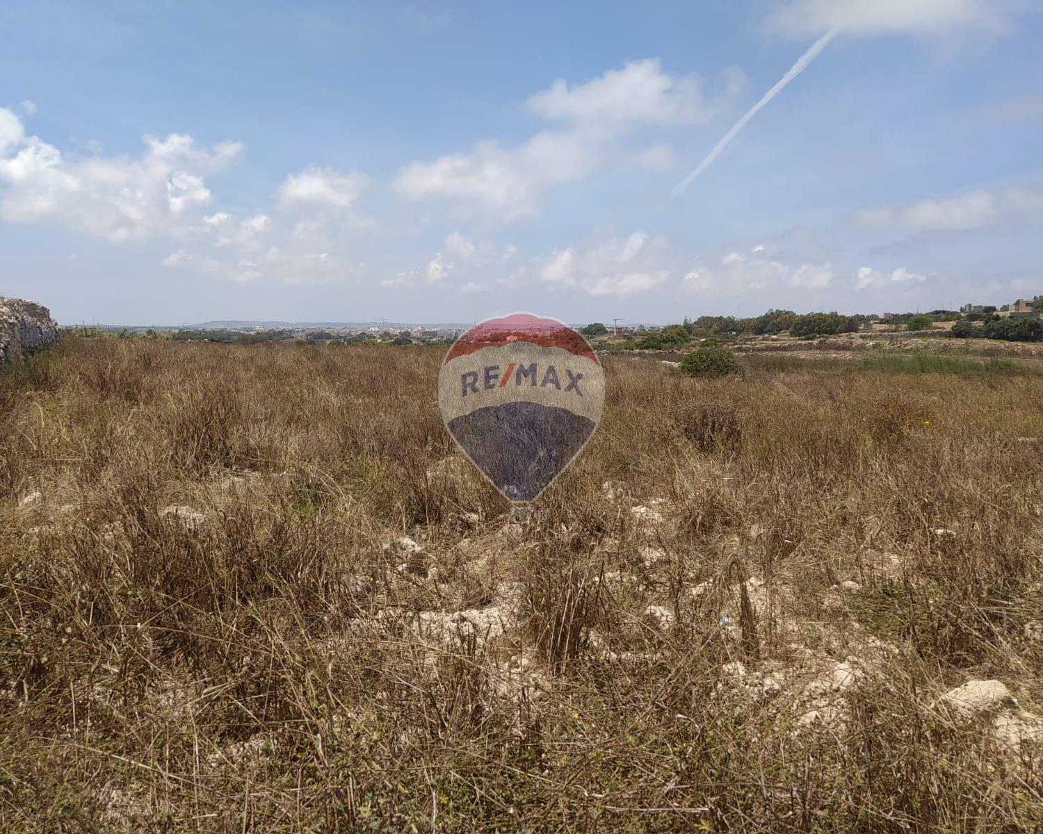 Agriculture Land