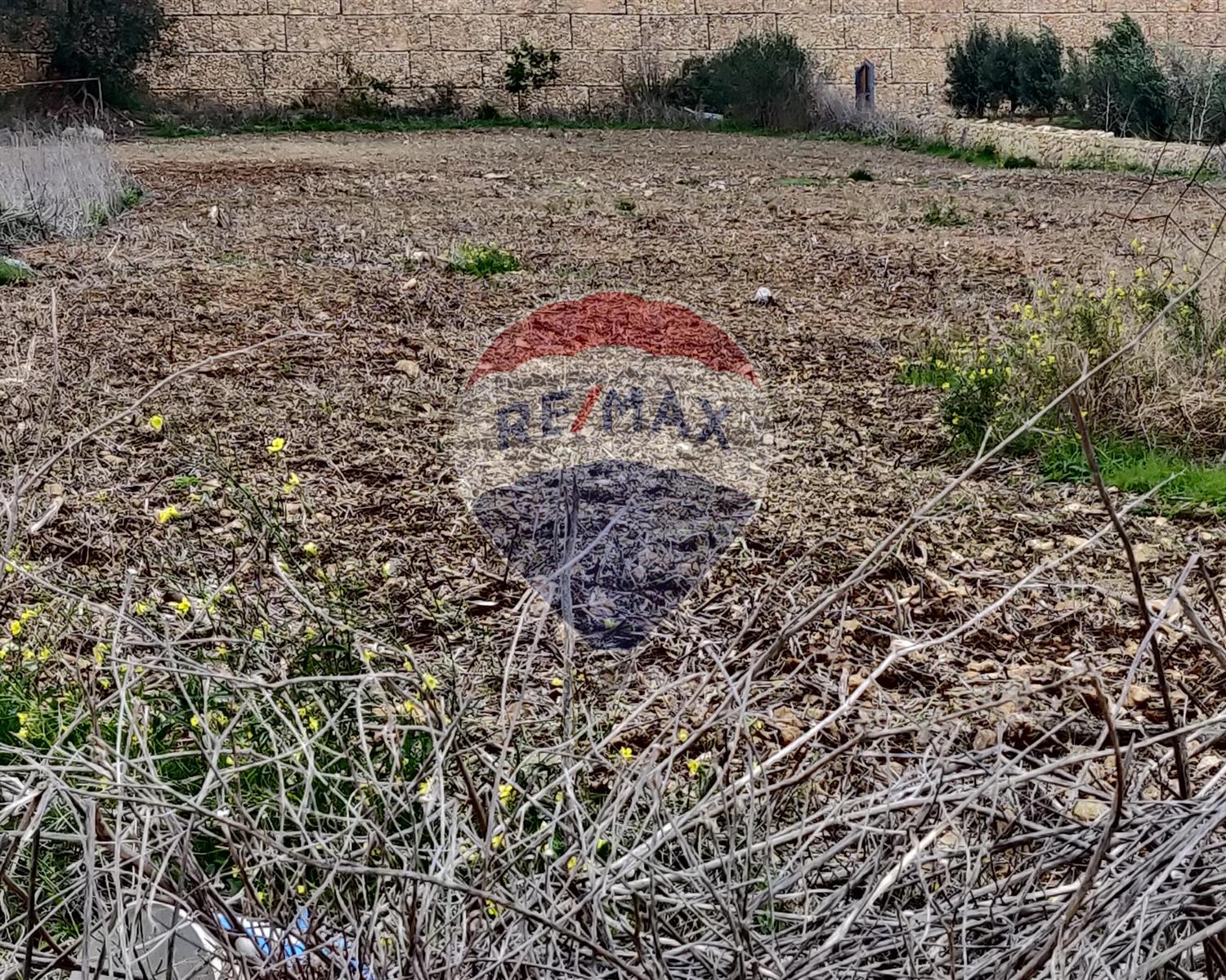Agriculture Land