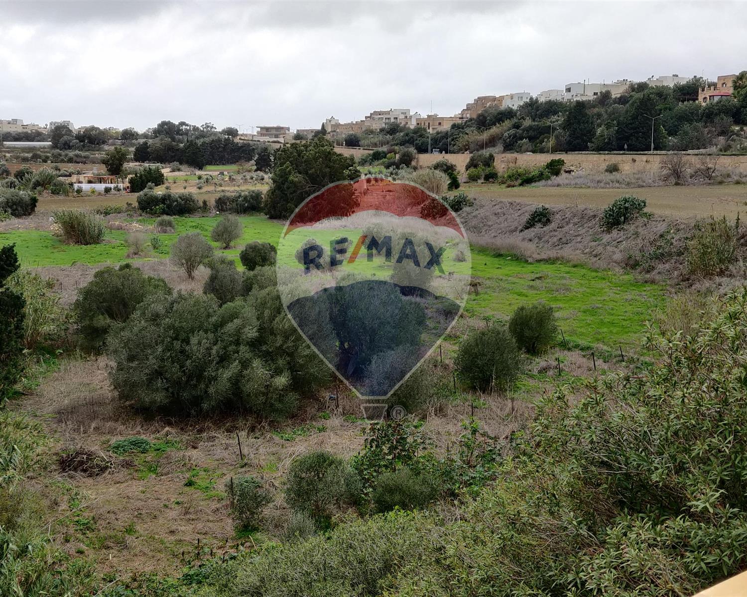 Agriculture Land