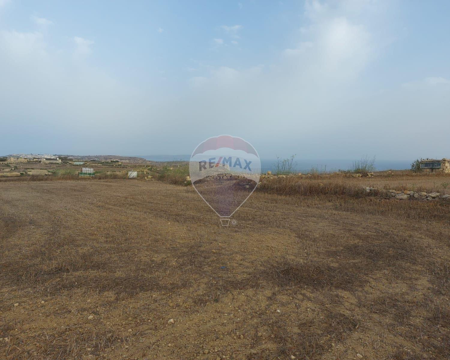 Agriculture Land