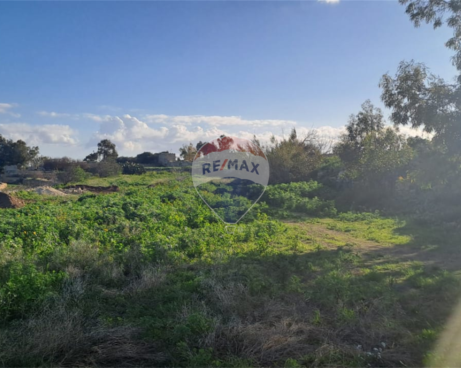 Agriculture Land