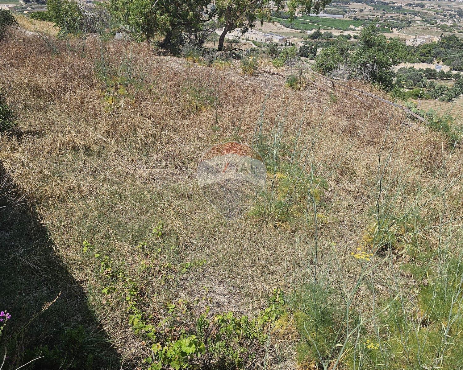 Agriculture Land
