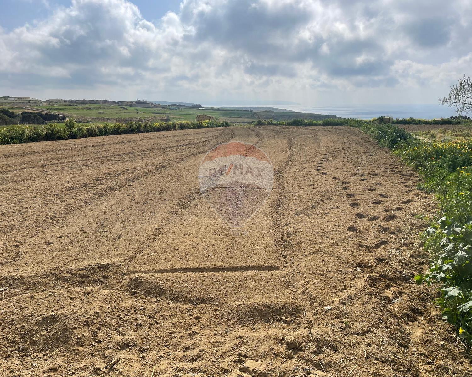 Agriculture Land