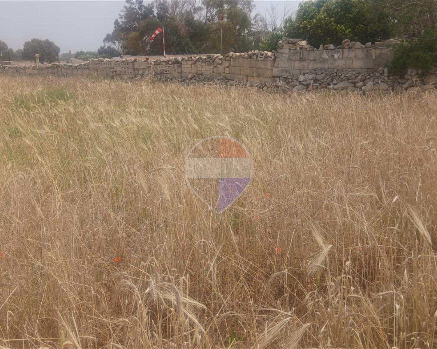 Agriculture Land