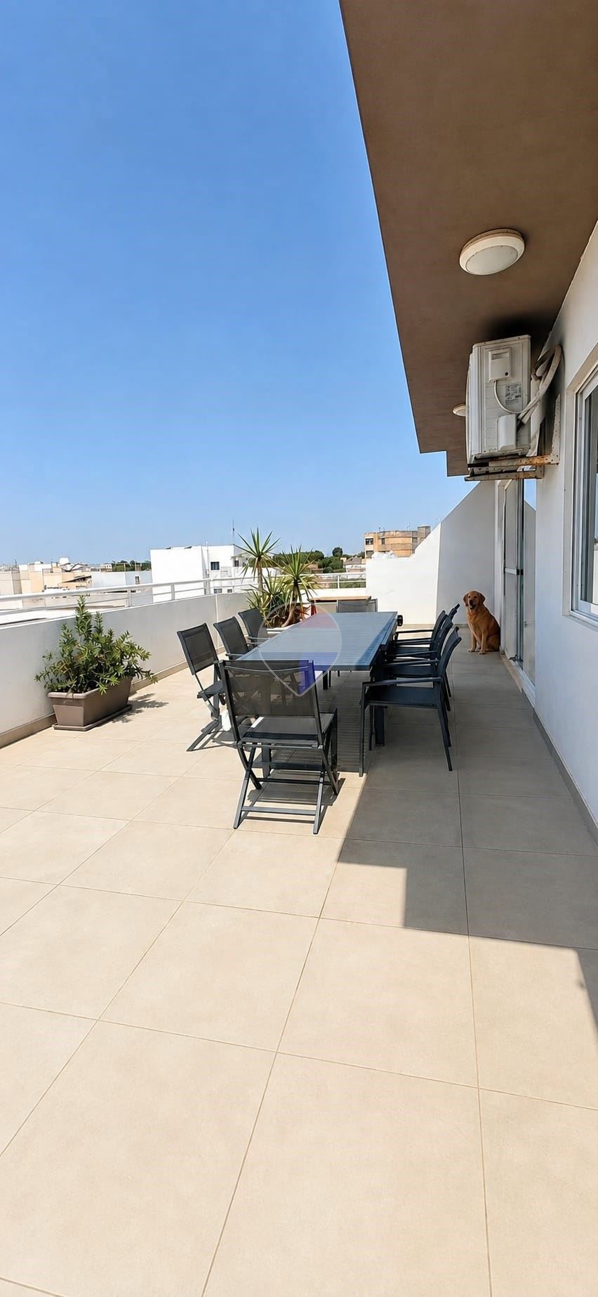 Penthouse in Zejtun — photo 6