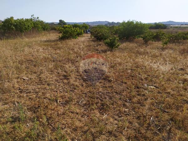 Zebbug Land - Image 1