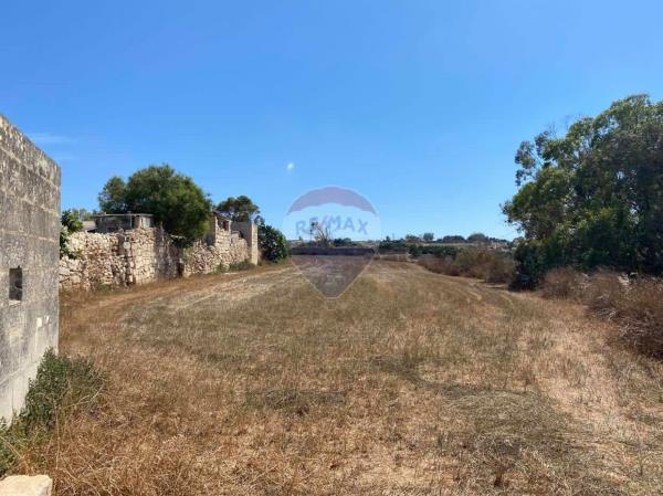 Zejtun Agriculture Land - Image 1