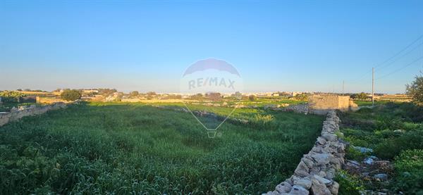 Qrendi Agriculture Land - Image 1