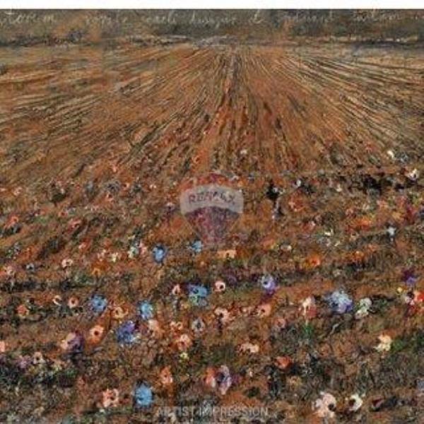 Zebbug Agriculture Land - Image 1