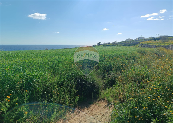 Zabbar Land - Image 1