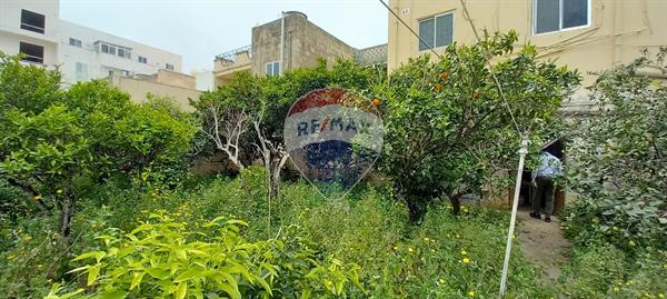 Zebbug Townhouse - Image 1