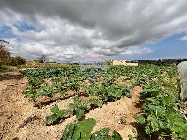 Proprjetà f' Żebbuġ