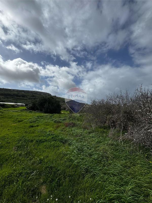 Bingemma Agriculture Land