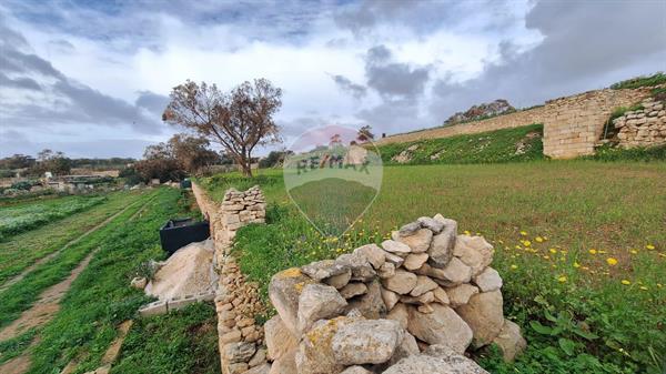 Agriculture Land for sale in Birżebbuġa - €250,000 - 2774m²