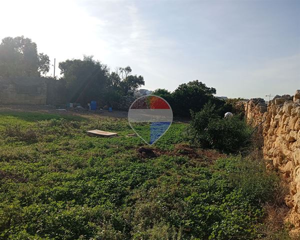 Safi Farmhouse - Image 1