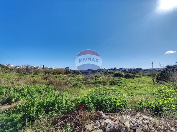 Birguma Agriculture Land - Image 1