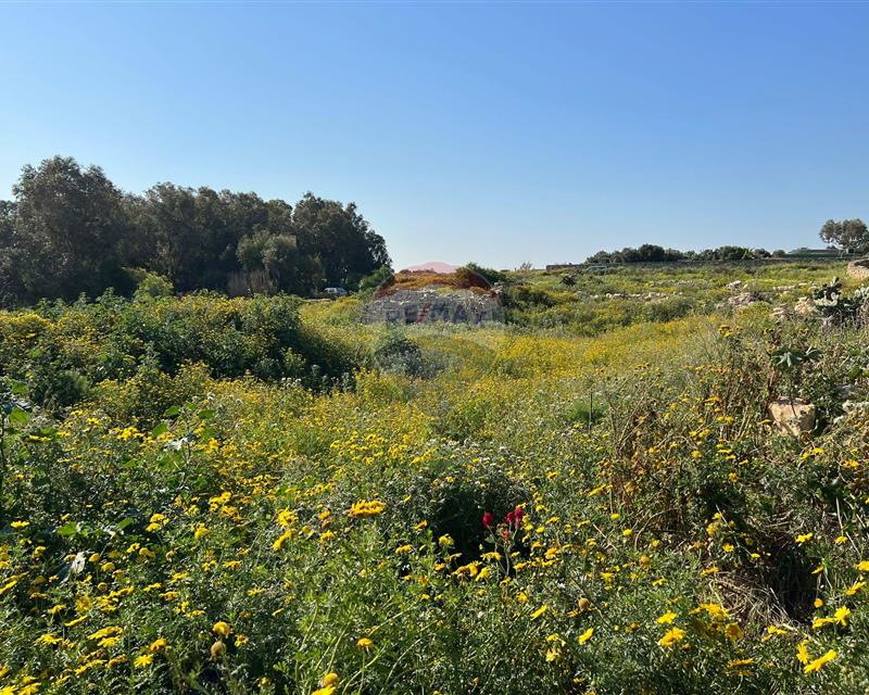 Farmhouse - For Sale, Birzebbuga