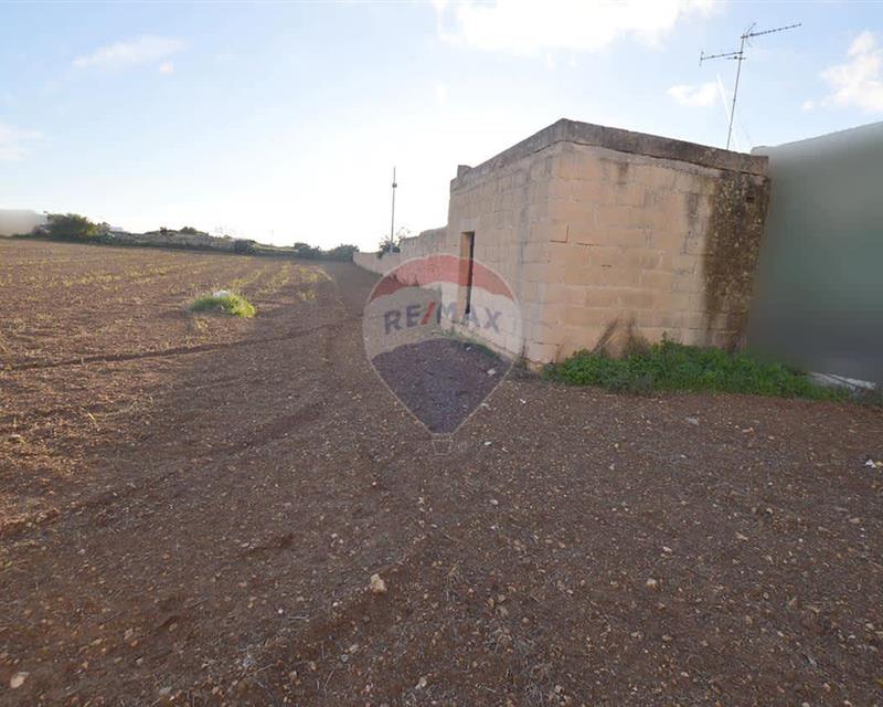 Agriculture Land - For Sale