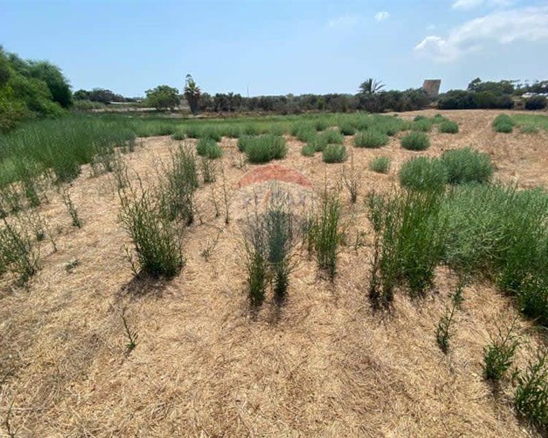 Agriculture Land in Marsascala