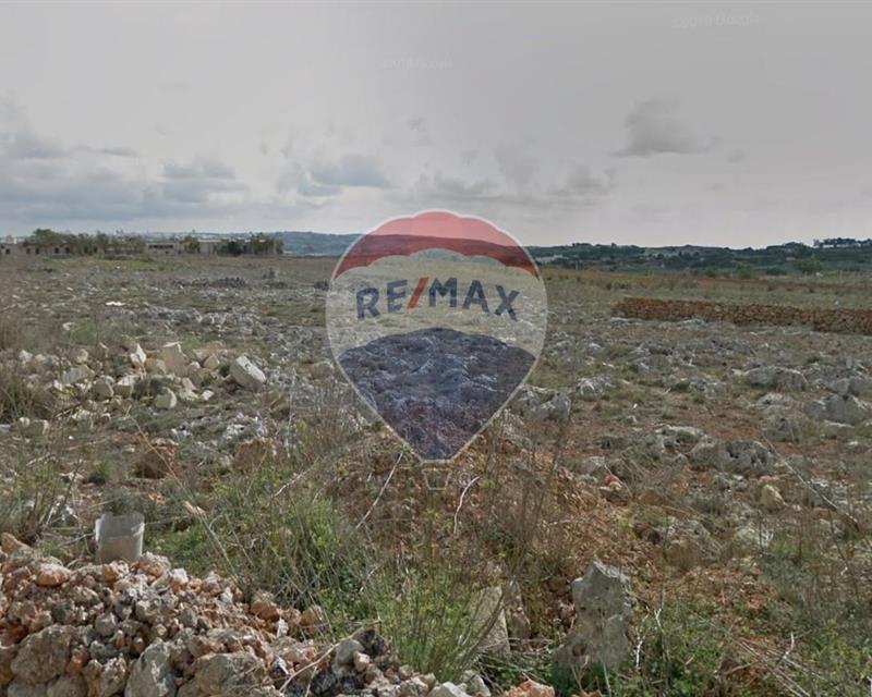 Agriculture Land - For Sale