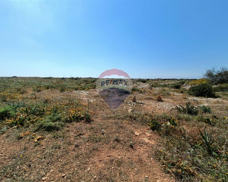 Land - For Sale - Widok 3