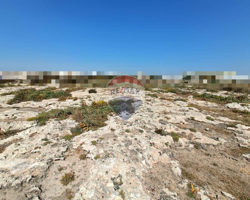 Land - For Sale - Więcej