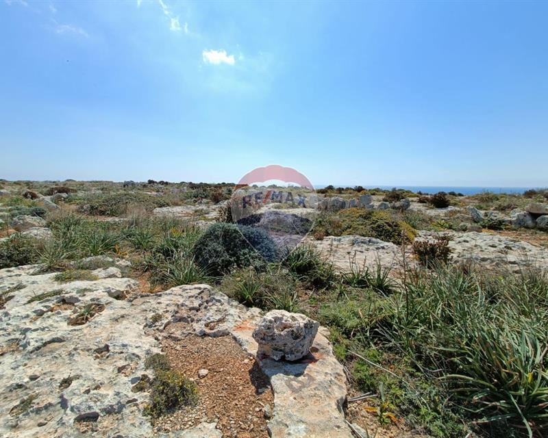 Land - For Sale - Widok 5