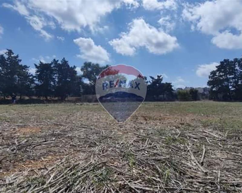 Agriculture Land - For Sale - Veduta 2