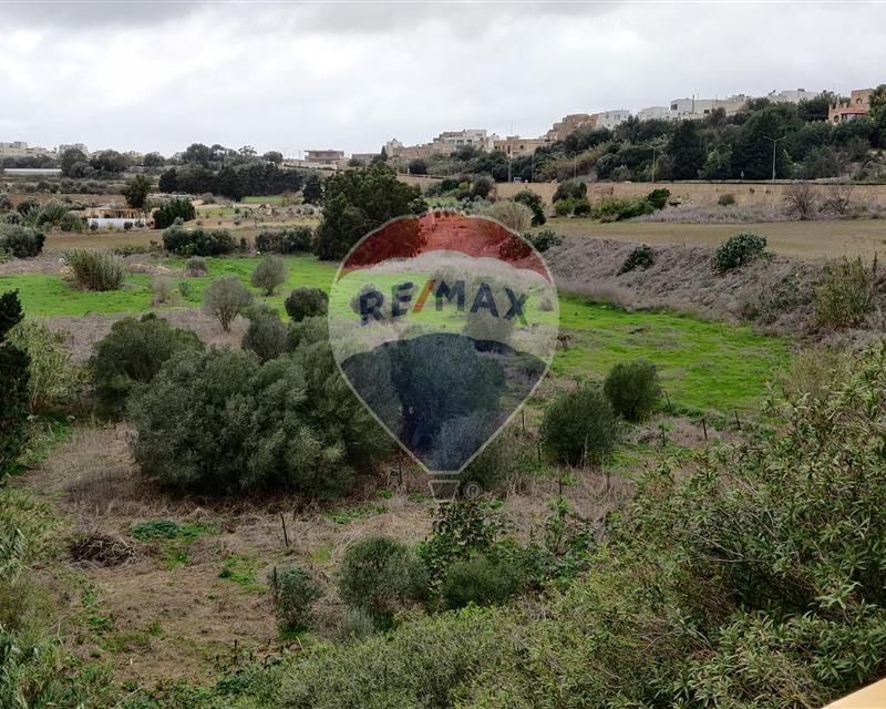 Agriculture Land - For Sale, Mtarfa