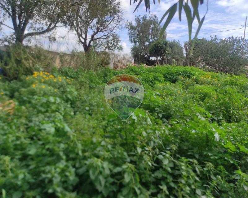 Land - For Sale, Birzebbuga
