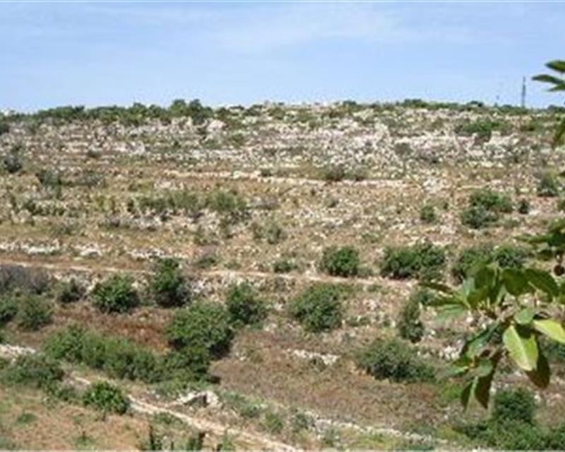Apartment - For Sale, Madliena