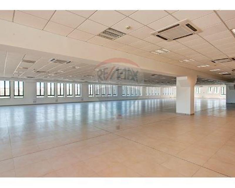 Shop - For Rent - More