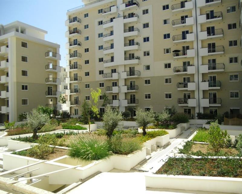 Showroom - For Rent - View 4