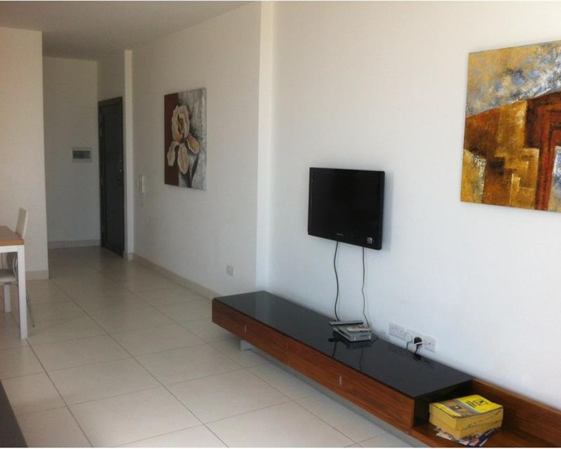 Penthouse - For Rent - View 6