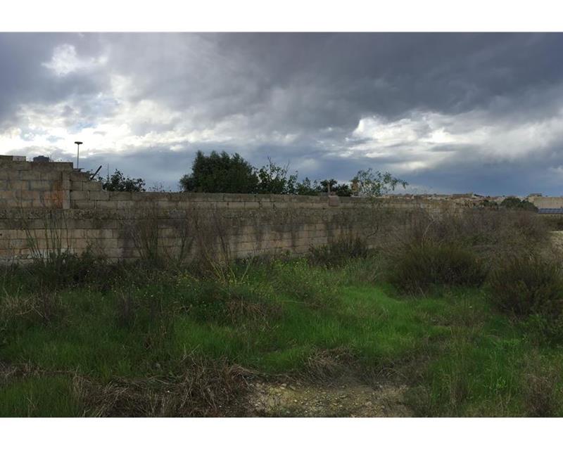 Agriculture Land - For Sale - Widok 3